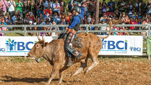 Rodéo foire de bourail