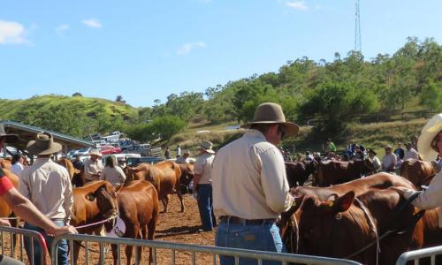 Foire de Bourail
